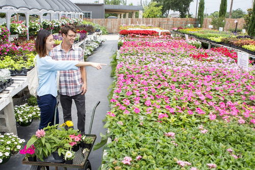 描寫花卉的詩句古詩,不超過兩行的詩,描寫花卉的詩句古詩詞,描寫贊頌花卉的詩句在古詩中屢見不鮮