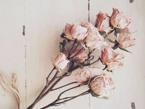 關于茅塞頓開的詩句