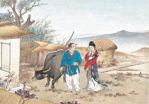 杜甫,唐代,詩(shī)句,于七