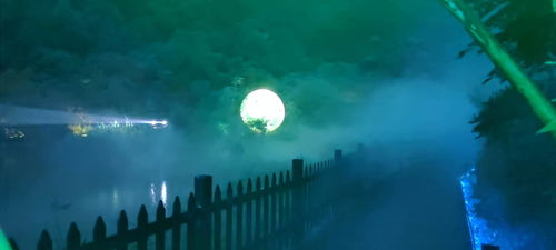 關(guān)于明月的愛情古詩句