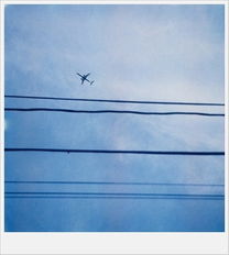 詩句,孤單,成熟