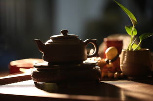 關(guān)于下雨喝茶的古詩句