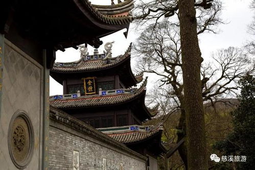 詩句,山外,古寺