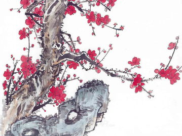 有關(guān)梅花的詩句古詩,寫關(guān)于梅花的詩句古詩,歌頌梅花的詩句古詩