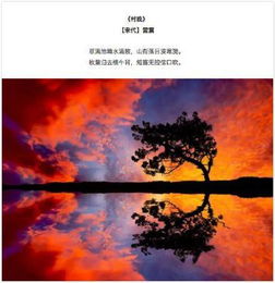 關(guān)于酒與落日的詩(shī)句