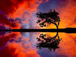 關(guān)于夕陽的詩句古詩詞