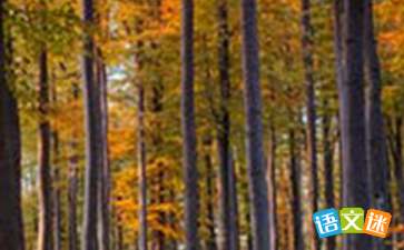 古詩,詩句,樹林,描寫