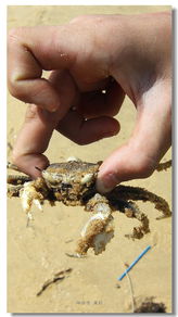 關(guān)于海南秋天的詩句