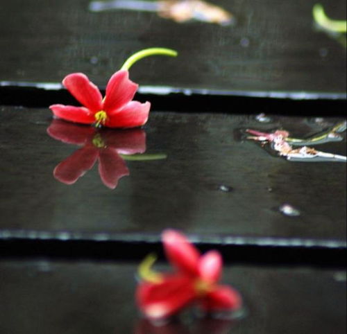 關(guān)于心有城府的詩句