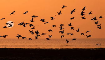 古詩形容恩斷義絕的詩句