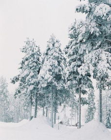 關(guān)于雪融化成溪水的詩句