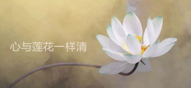 詩句,美好,生命