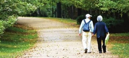 父母牽掛子女的古詩句