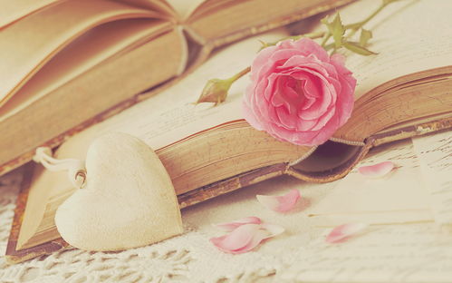 恭喜朋友喜得孫女的古詩句