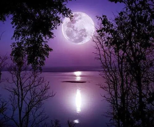 關(guān)于夢(mèng)和君的詩(shī)句