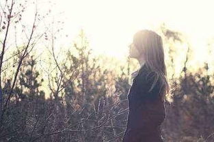 詩句,文藝,清新,時光