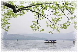 西湖,詩句,張繼