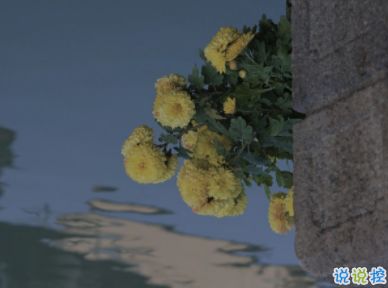 關(guān)于蓮花的古詩(shī)句,喪古詩(shī)詩(shī)句,很喪的古詩(shī)