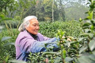 關于勞作農耕的詩句