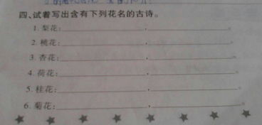 關(guān)于杏花和桂花的詩句