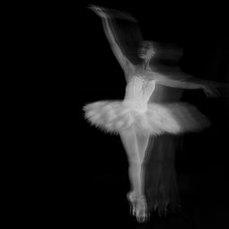 關(guān)于化繭成蝶的詩句