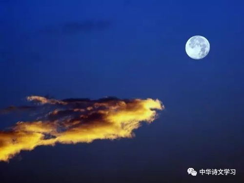 月亮,詩句,完整