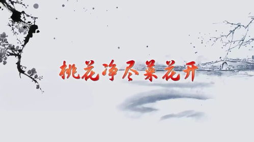 詩句,婚姻,愛情