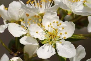 含有味的古詩(shī)句