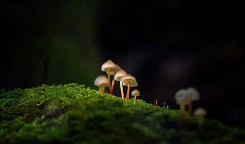 關(guān)于勤勉類的詩(shī)句