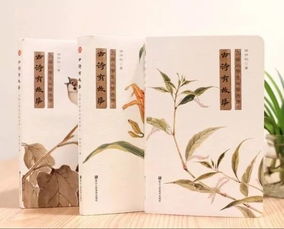 關(guān)于堅(jiān)韌的古詩句,風(fēng)有關(guān)的古詩句,意志力堅(jiān)韌的古詩句