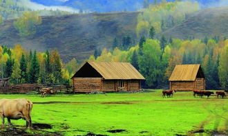 關(guān)于田園風(fēng)光的詩句子