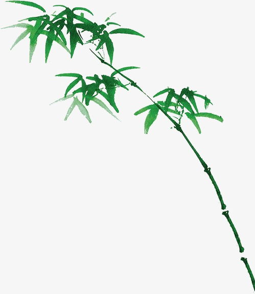 關(guān)于竹葉的詩(shī)句