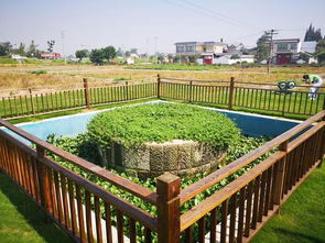 關(guān)于生活垃圾的詩(shī)句