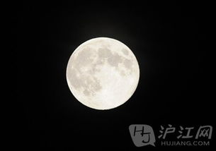小學(xué)古詩中包含夜的詩句