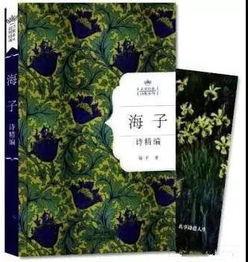 關(guān)于成就理想的詩句