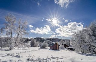 關(guān)于描寫含有冬的詩句古詩詞