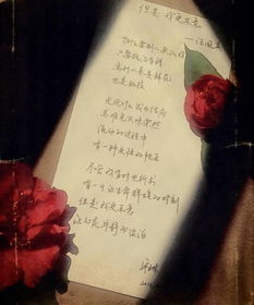 汪國(guó)真的關(guān)于友情的詩(shī)句