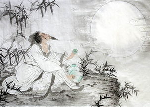 月亮,詩句,團(tuán)圓,蘇軾