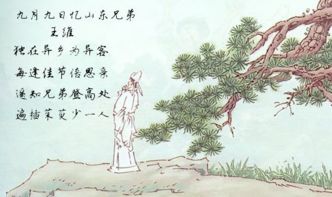 中有,古詩,詩句,故鄉(xiāng)