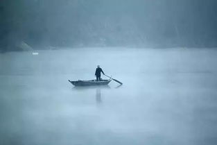 古詩里有若和楠的詩句