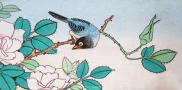 寫鳥的詩句古詩人來鳥不驚