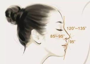 關(guān)于鼻子的詩句