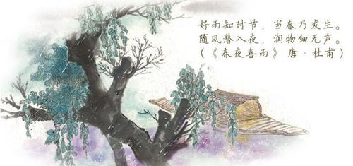 含有情的詩(shī)句古詩(shī)詞