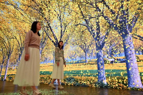 關(guān)于花瓣飄落的詩句