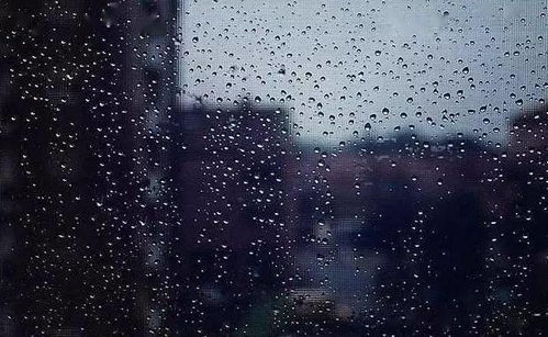 含有雨字的古詩句,寫出含有雨的古詩句,小學(xué)生含有水的古詩句