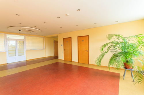 關(guān)于木耳詩句