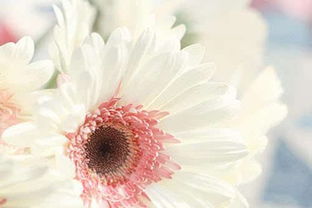 關(guān)于勇敢唯美詩句