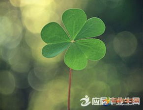 十字以內(nèi)古詩(shī)句