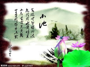 關(guān)于夏天要結(jié)束的詩句