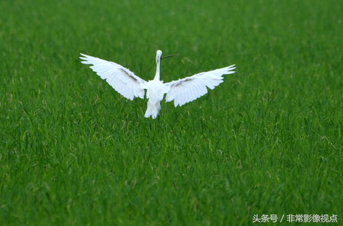 描寫百姓辛勤勞作詩句古詩